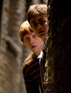 Rupert Grint : TI4U_u1231456797.jpg