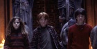 Rupert Grint : TI4U_u1296269042.jpg