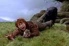 Rupert Grint : rupert_grint_1162500626.jpg