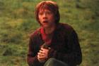 Rupert Grint : rupert_grint_1162500629.jpg