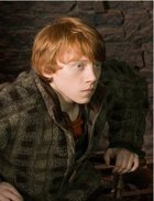 Rupert Grint : rupert_grint_1162500658.jpg