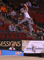 Ryan Sheckler : TI4U_u1155060320.jpg