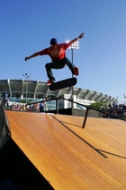 Ryan Sheckler : ryan_sheckler_1185120862.jpg