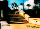 Ryan Sheckler : ryan_sheckler_1214395539.jpg