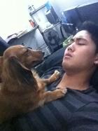 Ryan Higa in General Pictures, Uploaded by: Guest