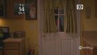 Shailene Woodley : shailenewoodley_1215186470.jpg