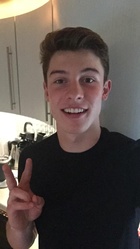 Shawn Mendes : shawn-mendes-1429764302.jpg