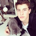 Shawn Mendes : shawn-mendes-1434757801.jpg