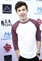 Shawn Mendes : shawn-mendes-1437740042.jpg