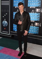 Shawn Mendes : shawn-mendes-1441053901.jpg