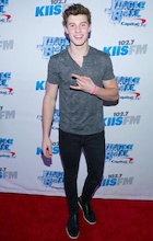 Shawn Mendes : shawn-mendes-1449346321.jpg