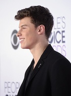 Shawn Mendes : shawn-mendes-1452174121.jpg