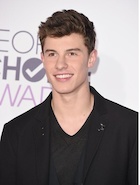 Shawn Mendes : shawn-mendes-1452184201.jpg