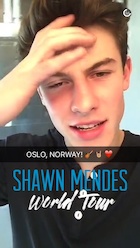 Shawn Mendes : shawn-mendes-1453942801.jpg