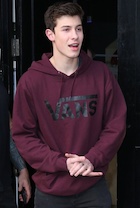 Shawn Mendes : shawn-mendes-1454453642.jpg