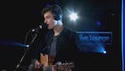 Shawn Mendes : shawn-mendes-1454559481.jpg