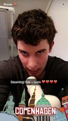 Shawn Mendes : shawn-mendes-1461110401.jpg