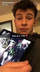 Shawn Mendes : shawn-mendes-1461192121.jpg