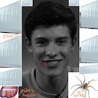 Shawn Mendes : shawn-mendes-1480973714.jpg