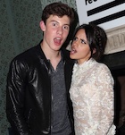 Shawn Mendes : shawn-mendes-1490671082.jpg