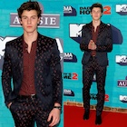 Shawn Mendes : shawn-mendes-1518653881.jpg