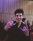 Shawn Mendes : shawn-mendes-1525137481.jpg