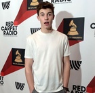 Shawn Mendes : shawn-mendes-1530139288.jpg