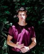 Shawn Mendes : shawn-mendes-1531952401.jpg