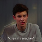 Shawn Mendes : shawn-mendes-1539455153.jpg