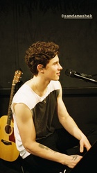 Shawn Mendes : shawn-mendes-1549590721.jpg