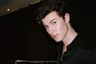 Shawn Mendes : shawn-mendes-1550103601.jpg