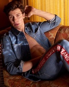 Shawn Mendes : shawn-mendes-1550618644.jpg