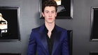 Shawn Mendes : shawn-mendes-1553196601.jpg