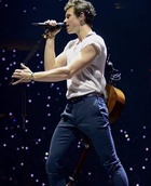 Shawn Mendes : shawn-mendes-1560461402.jpg