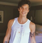 Shawn Mendes : shawn-mendes-1563847381.jpg