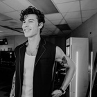 Shawn Mendes : shawn-mendes-1564006502.jpg