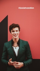 Shawn Mendes : shawn-mendes-1567221121.jpg