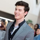 Shawn Mendes : shawn-mendes-1578416319.jpg