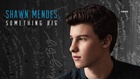 Shawn Mendes : shawn-mendes-1585521387.jpg