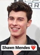 Shawn Mendes : shawn-mendes-1587139241.jpg