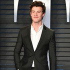 Shawn Mendes : shawn-mendes-1597286420.jpg