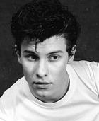 Shawn Mendes : shawn-mendes-1604152223.jpg