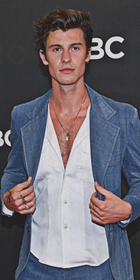 Shawn Mendes : shawn-mendes-1681060158.jpg