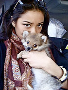 Shay Mitchell : shaymitchell_1307116536.jpg