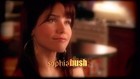 Sophia Bush : TI4U_u1140303269.jpg