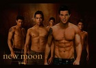 Taylor Lautner : TI4U_u1243836331.jpg