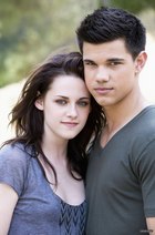 New star Taylor Lautner rises in "New Moon"
