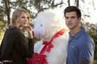 Taylor Lautner : TI4U_u1279769046.jpg