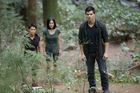 Taylor Lautner : taylor-lautner-1315733019.jpg