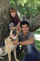Taylor Lautner : taylor-lautner-1423776601.jpg